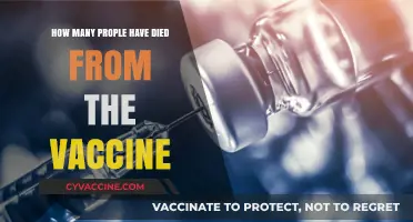 Vaccine-Related Deaths: Separating Facts from Misinformation and Fears