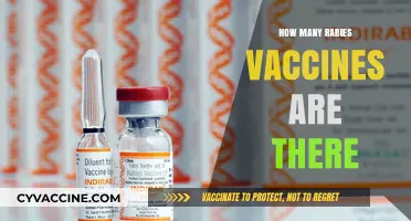Exploring the Different Types of Rabies Vaccines Available Today