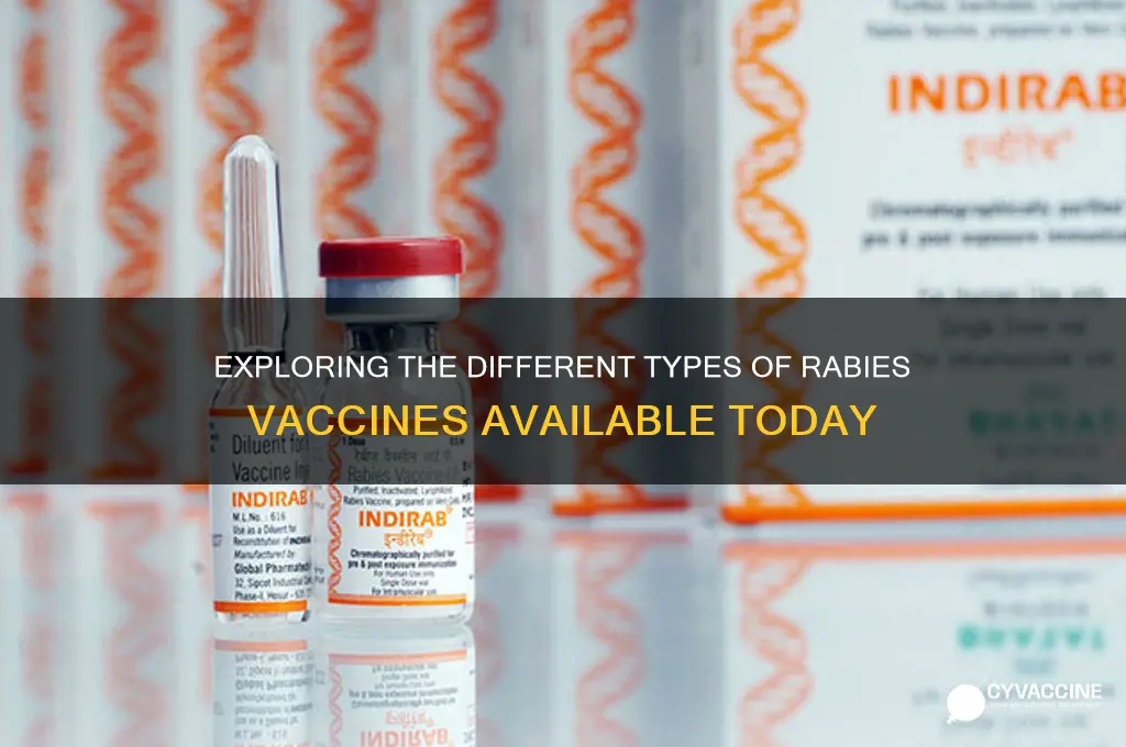 how many rabies vaccines are there