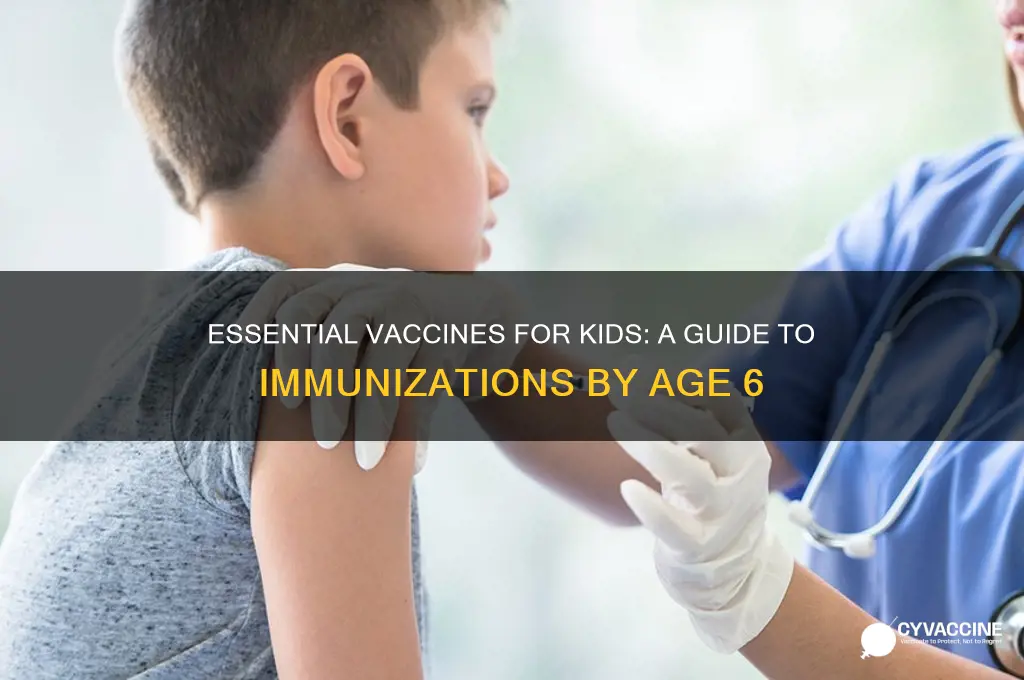 how many recommend vaccines recommended by age 6