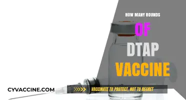 Understanding the Recommended Rounds of DTap Vaccine for Optimal Protection