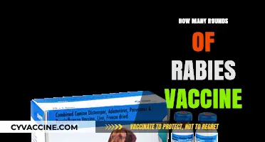 Understanding Rabies Vaccine Rounds: A Comprehensive Guide for Prevention