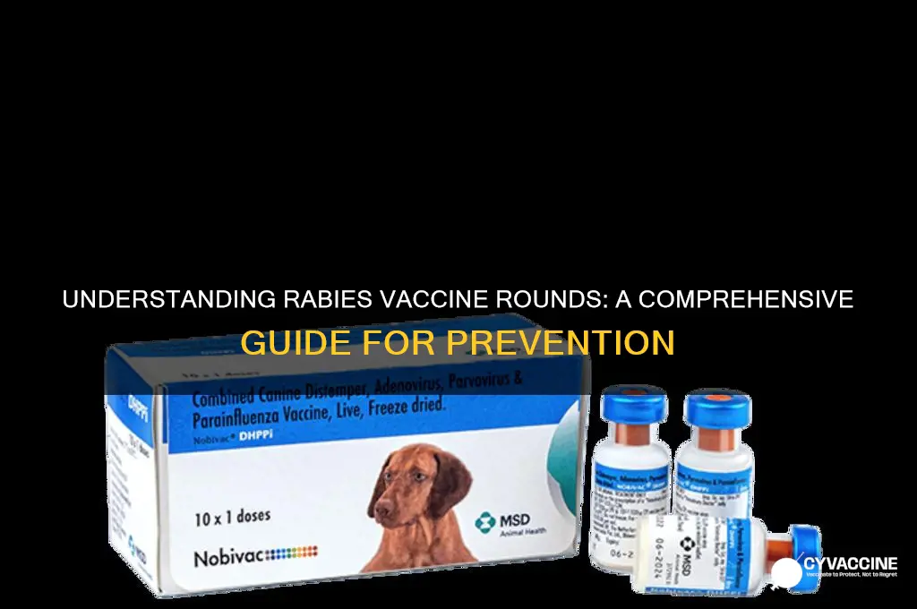 how many rounds of rabies vaccine