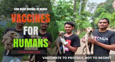 Understanding Rabies Vaccination: How Many Rounds Do Humans Need?