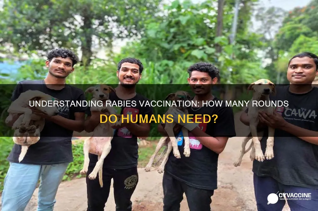 how many rounds of rabies vaccines for humans
