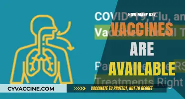 Exploring the Current Availability of RSV Vaccines: What You Need to Know