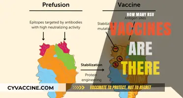 Exploring the Available RSV Vaccines: A Comprehensive Guide
