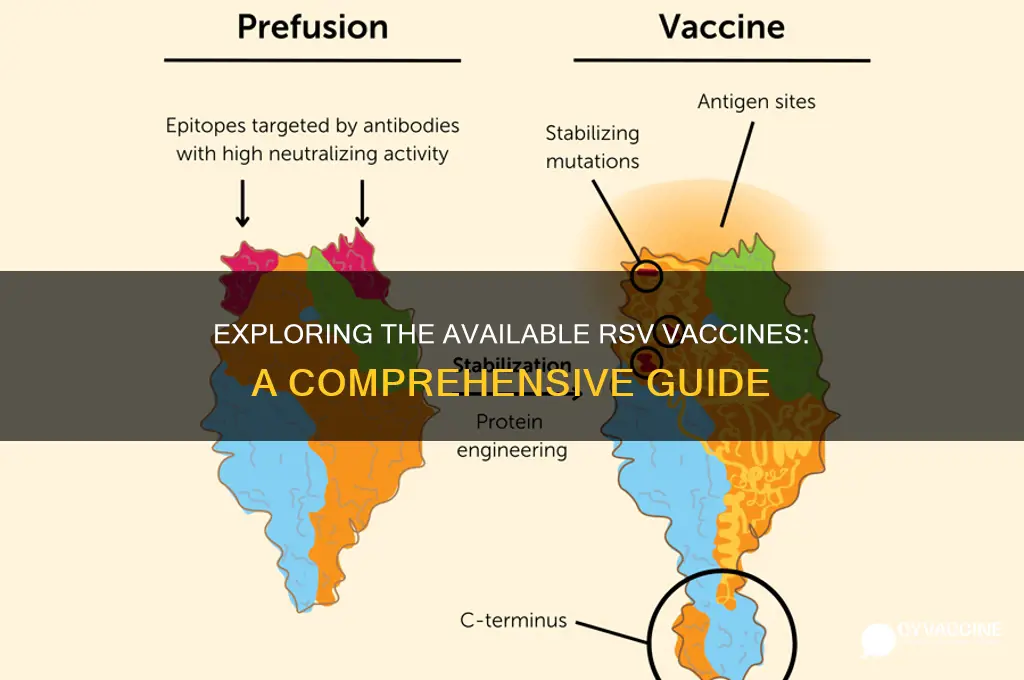 how many rsv vaccines are there