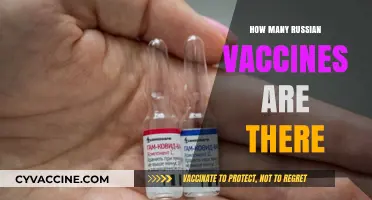 Exploring Russia's COVID-19 Vaccine Portfolio: Types and Availability