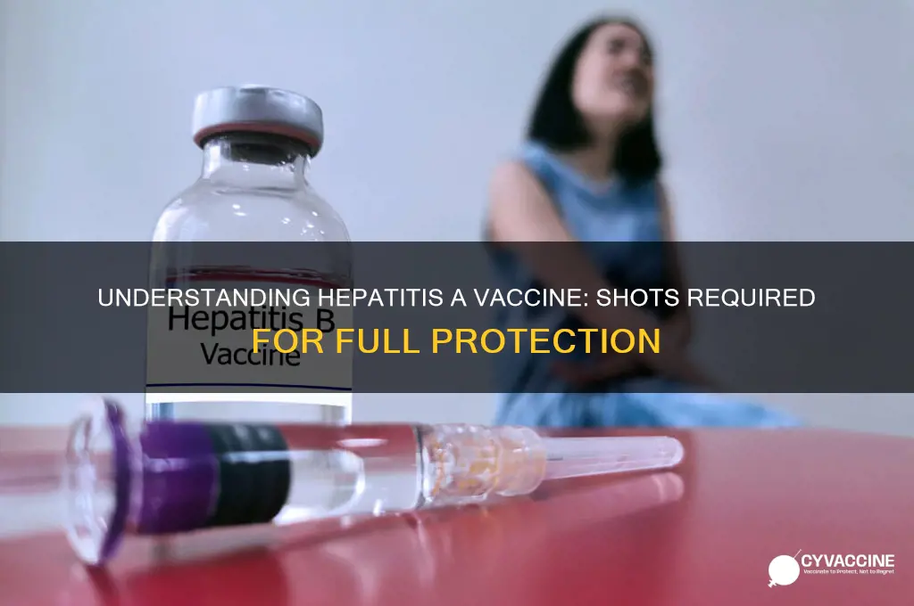 how many shots are in hep a vaccine