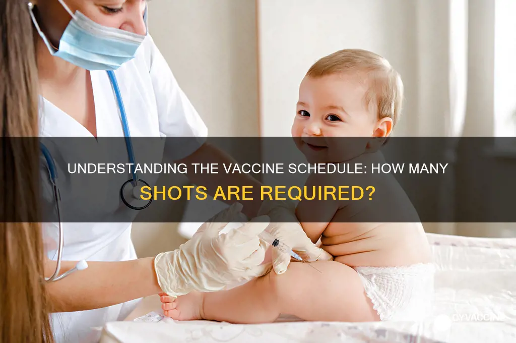 how many shots are on the vaccine schedule