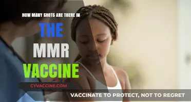 Understanding the MMR Vaccine: Shots, Dosage, and Protection Explained