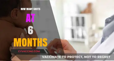 Essential 6-Month Vaccination Shots Guide for Your Baby's Health