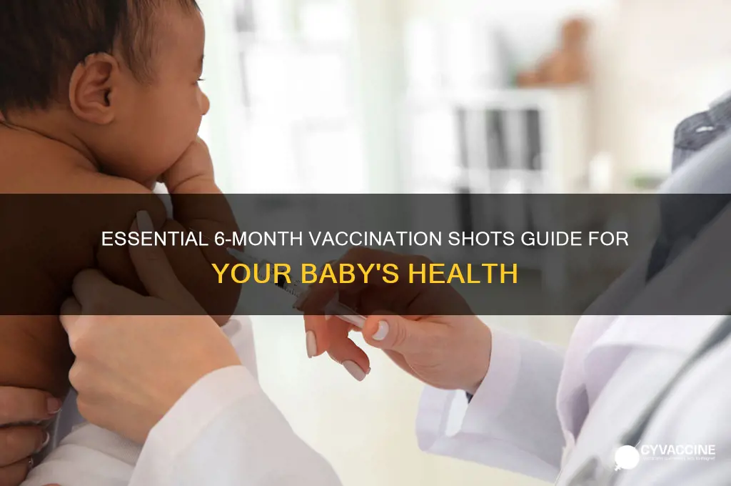 how many shots at 6 months