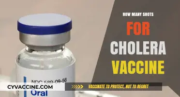 Cholera Vaccine Shots: Understanding the Required Doses for Protection