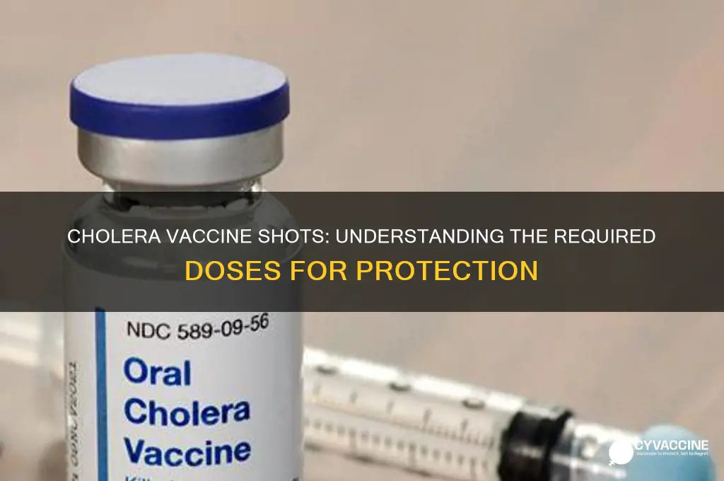 how many shots for cholera vaccine