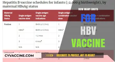 Understanding the HBV Vaccine Schedule: How Many Shots Are Needed?