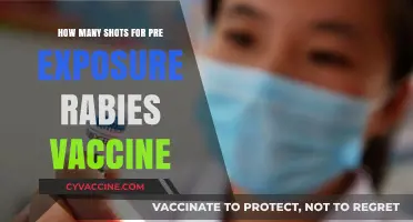 Pre-Exposure Rabies Vaccine: Understanding the Required Shot Schedule