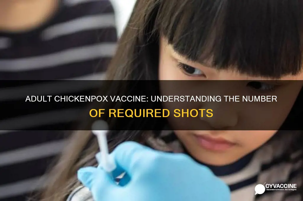 how many shots in adult chicken pox vaccine