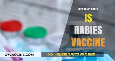 Understanding Rabies Vaccine Shots: Dosage and Frequency Explained