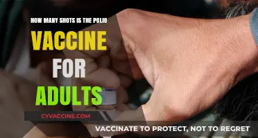 Polio Vaccine for Adults: Understanding the Required Shot Schedule