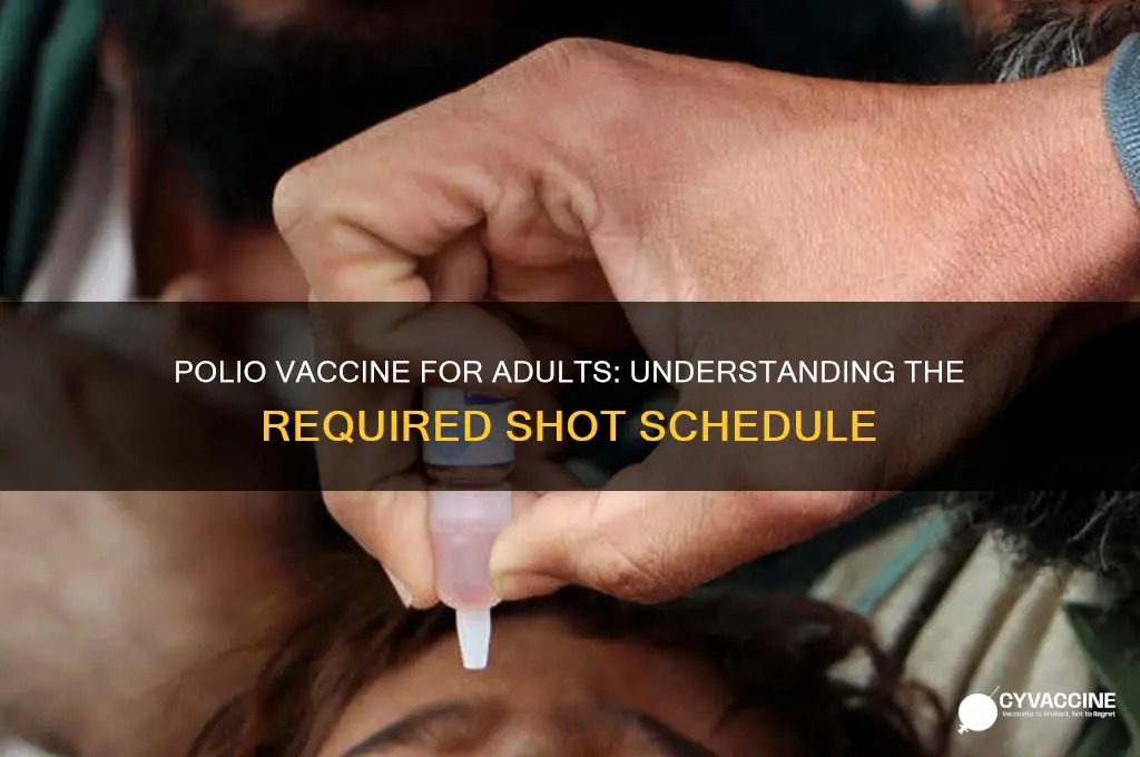 how many shots is the polio vaccine for adults