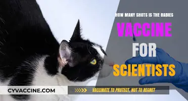 Rabies Vaccine Shots for Scientists: Understanding the Required Dosage