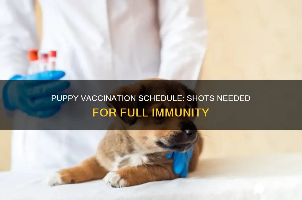 how many shots until a puppy is fully vaccinated