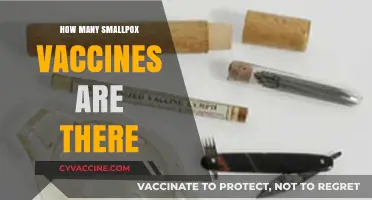 Exploring the Varieties of Smallpox Vaccines Available Today