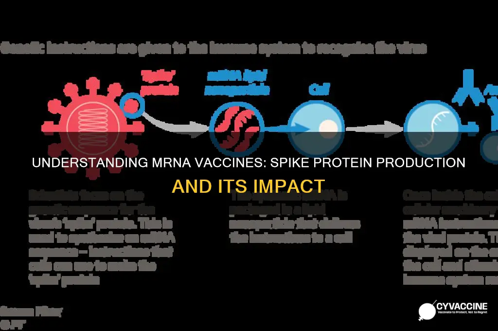 how many spike proteins does mrna vaccine produce