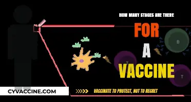 Understanding the Multi-Stage Process of Vaccine Development and Approval