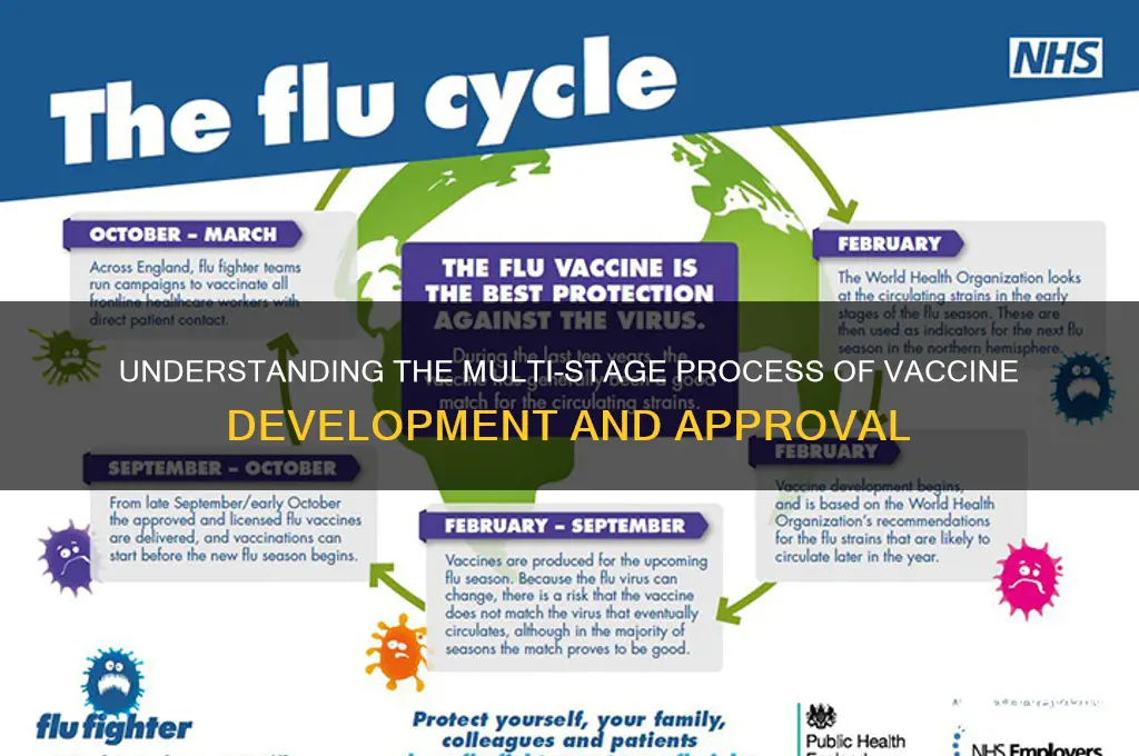 how many stages are there for a vaccine