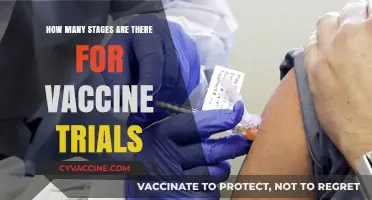 Understanding the Multiple Stages of Vaccine Trials: A Comprehensive Guide