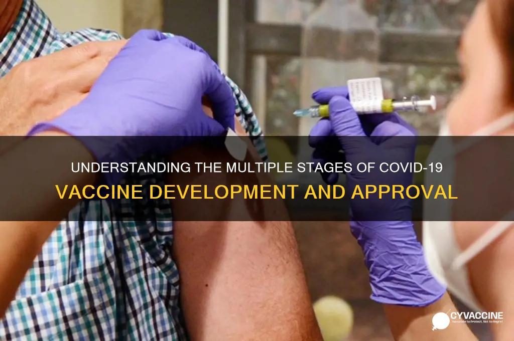 how many stages are there in corona vaccine