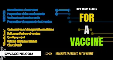 Understanding the Complex Journey: Stages in Vaccine Development and Approval
