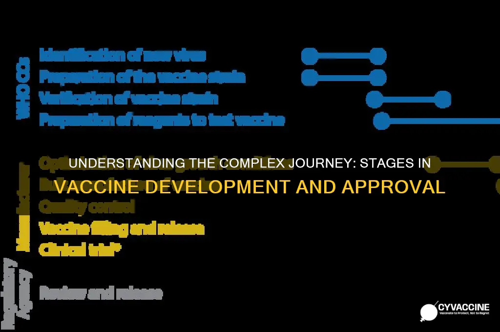 how many stages for a vaccine