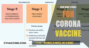 Understanding the Multi-Stage Development Process of the COVID-19 Vaccine