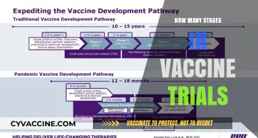 Understanding the Multi-Stage Process of Vaccine Clinical Trials