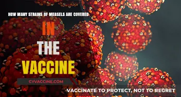 Measles Vaccine: Strains Covered and Protection Explained