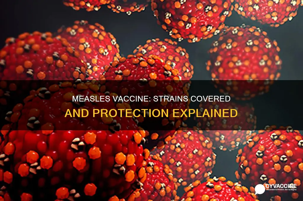 how many strains of measels are covered in the vaccine