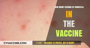 Understanding Varicella Vaccine Strains: How Many Are Included?