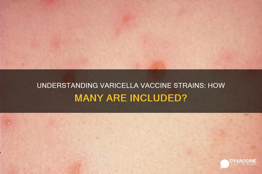 how many strains of varicella in the vaccine
