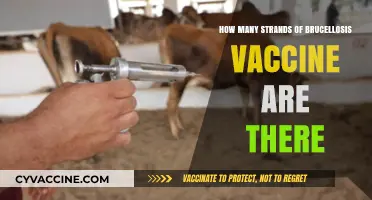 Understanding Brucellosis Vaccine: Exploring the Various Available Strains