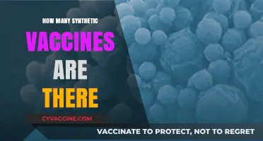 Exploring the Growing Number of Synthetic Vaccines Available Today