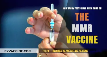 Extensive MMR Vaccine Testing: A Comprehensive Overview of Safety Studies