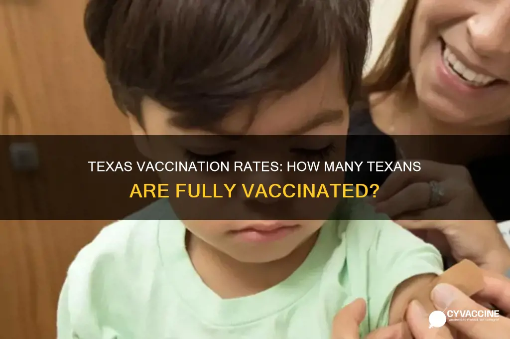 how many texans are fully vaccinated