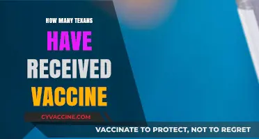 Texans Vaccinated: Tracking COVID-19 Immunization Rates Across the State