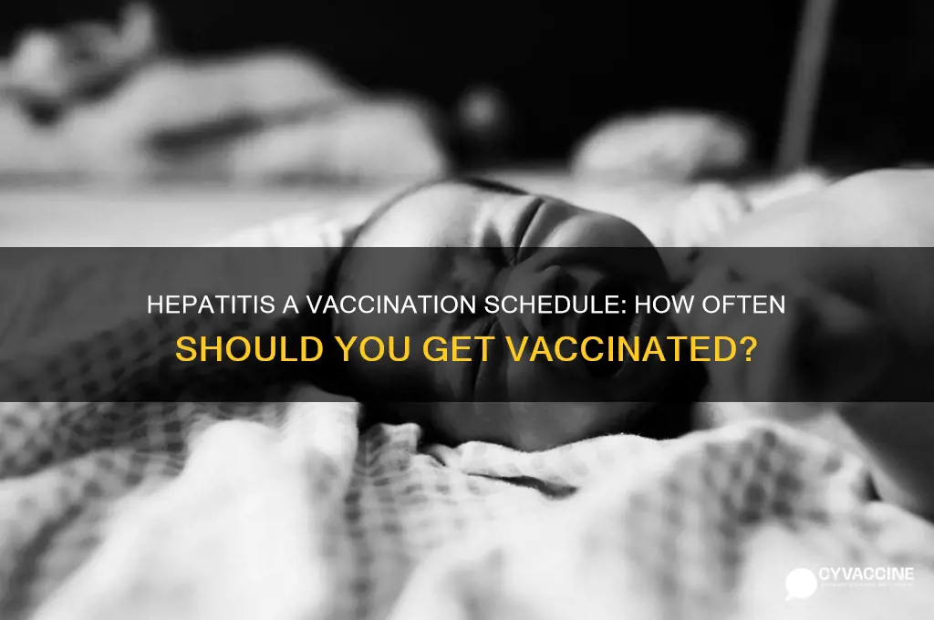 how many time should you vaccine for hepatitis a
