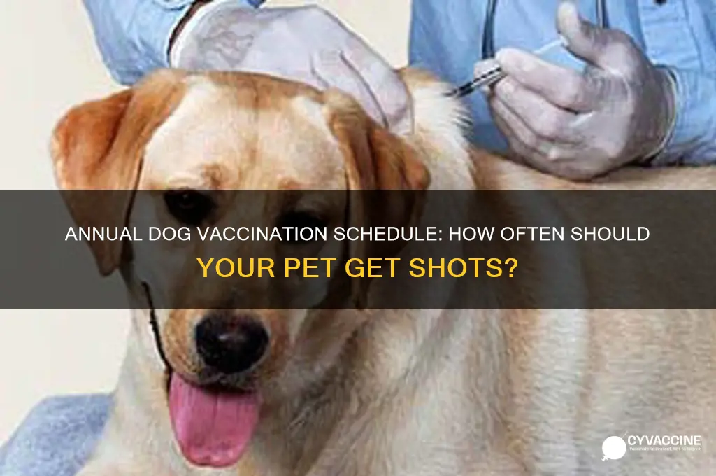 how many times ayear vaccine dopgs