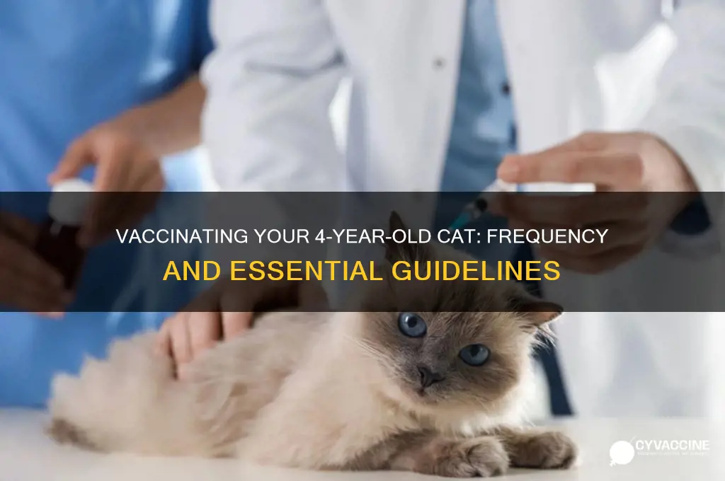 how many times do you vaccinate a 4yr old cat